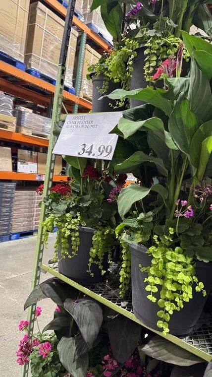 Costco Scarborough /GTA Photo Report for Jul 13th - Jul 19th 2026