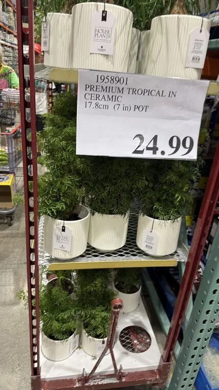 Costco Scarborough /GTA Photo Report for Jul 13th - Jul 19th 2026