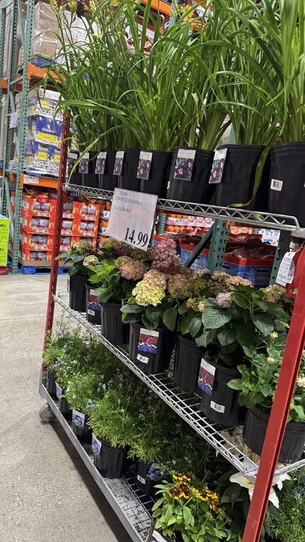 Costco Scarborough /GTA Photo Report for Jul 13th - Jul 19th 2026