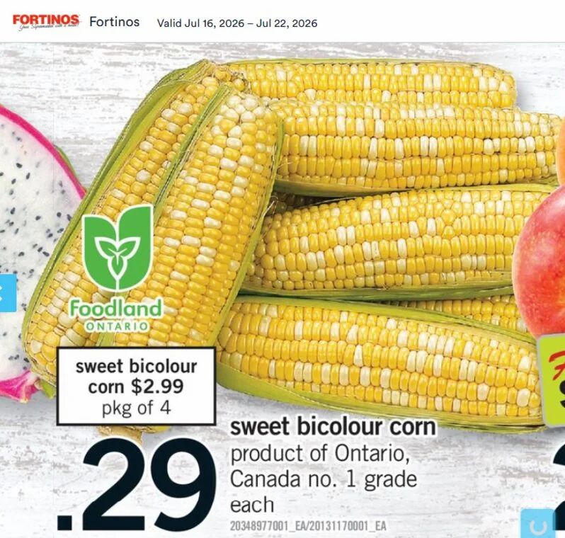 Fortinos: Bi-Colour Corn, Corn on the Cob $0.29 (reg. $0.99) July 16 - 22