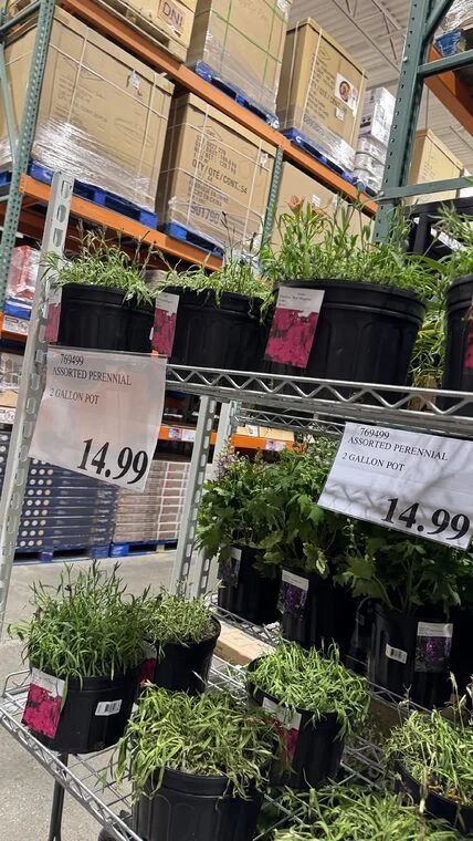 Costco Scarborough /GTA Photo Report for Jul 20th - Jul 26th 2026