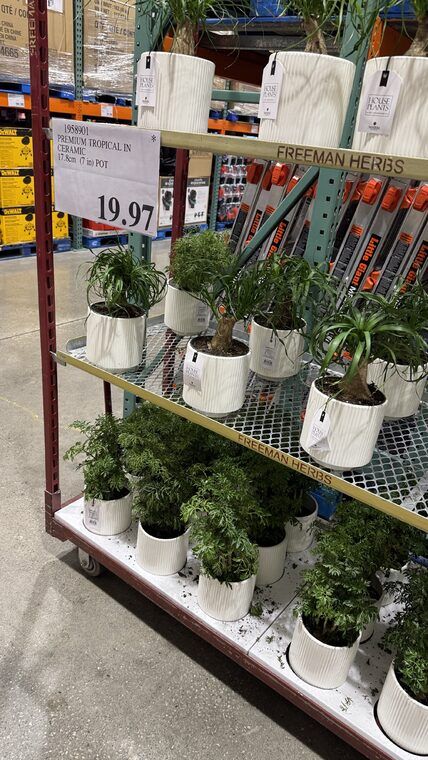 Costco Scarborough /GTA Photo Report for Jul 20th - Jul 26th 2026