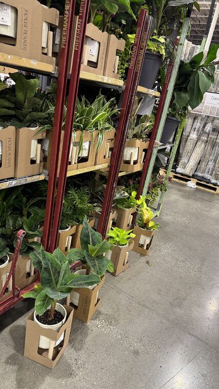 Costco Scarborough /GTA Photo Report for Jul 20th - Jul 26th 2026