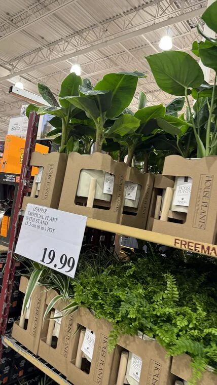Costco Scarborough /GTA Photo Report for Jul 20th - Jul 26th 2026
