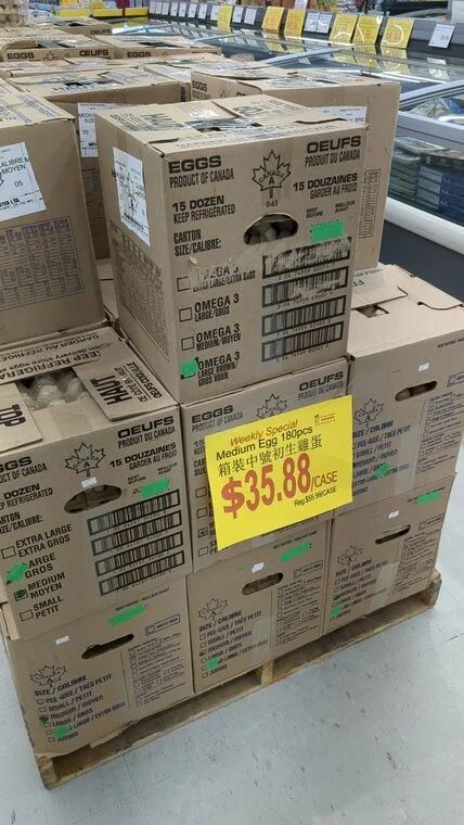 Fresh Palace - Eggs $35.88/case - GTA