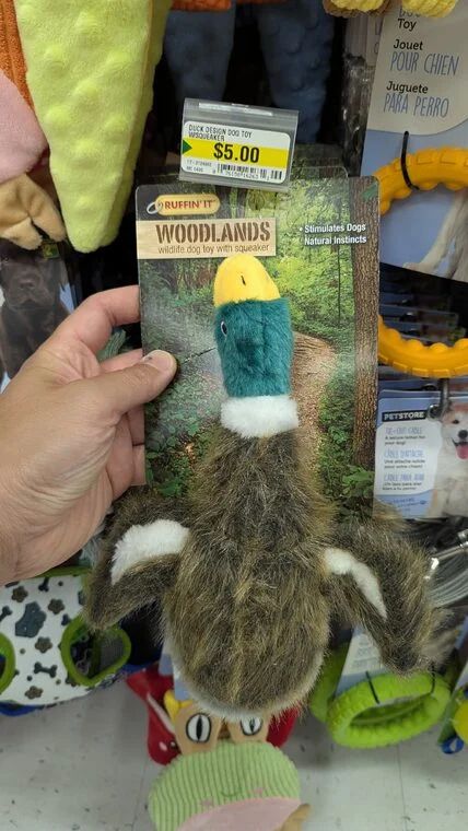 Dollarama Deals (Jul 27, 2026)