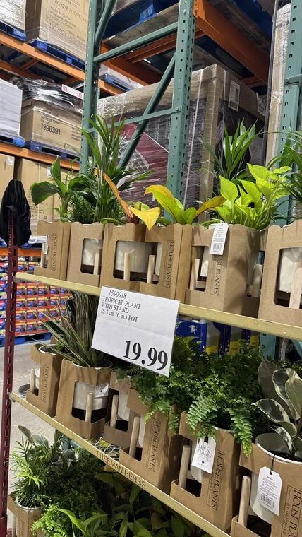Costco Scarborough /GTA Photo Report for Jul 27th - Aug 2nd 2026