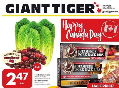 Giant Tiger Canada Deals July 1st – 7th