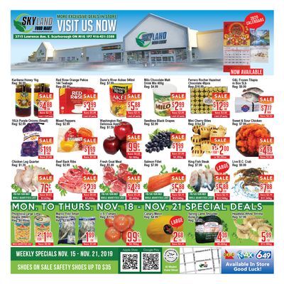 Skyland Food Mart Flyer November 15 to 21