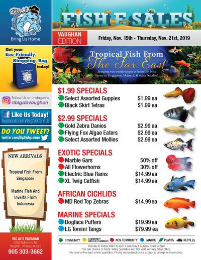 Big Al's (Vaughan) Weekly Specials November 15 to 21