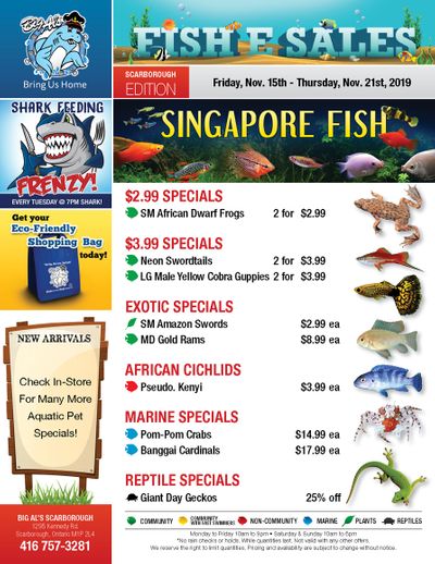 Big Al's (Scarborough) Weekly Specials November 15 to 21