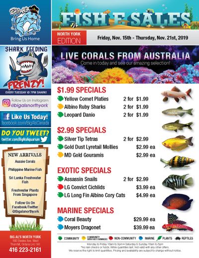 Big Al's (North York) Weekly Specials November 15 to 21