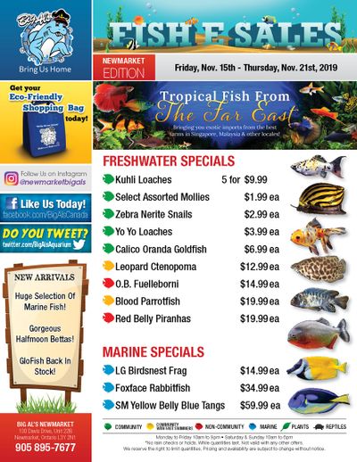 Big Al's (Newmarket) Weekly Specials November 15 to 21