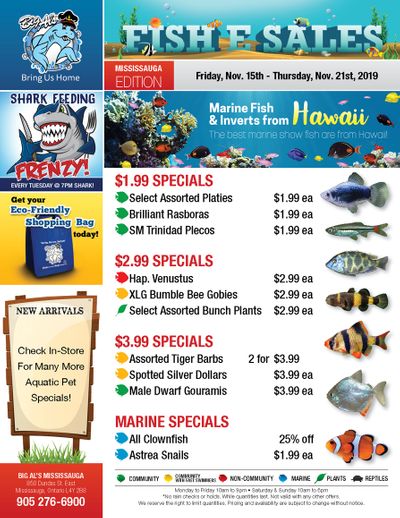Big Al's (Mississauga) Weekly Specials November 15 to 21