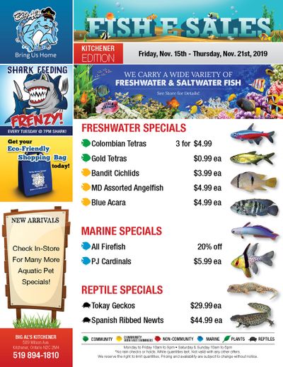 Big Al's (Kitchener) Weekly Specials November 15 to 21
