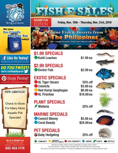 Big Al's (Brampton) Weekly Specials November 15 to 21