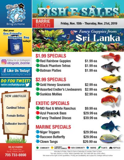 Big Al's (Barrie) Weekly Specials November 15 to 21