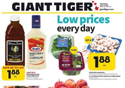 Giant Tiger Canada Flyer Deals July 8th – 14th