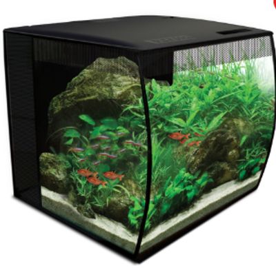 Fluval Flex 9 Gallon Aquarium Kit For $99.99 At PetSmart Canada