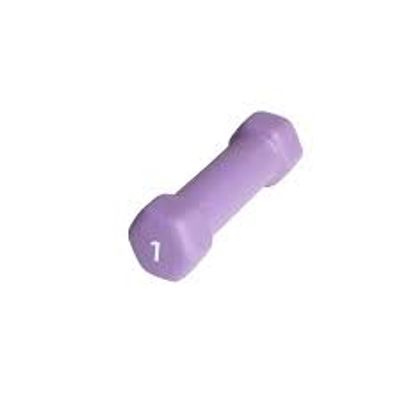Cap Solid Dumbbell Weights On Sale for $0.99 at  Canadian Tire Canada