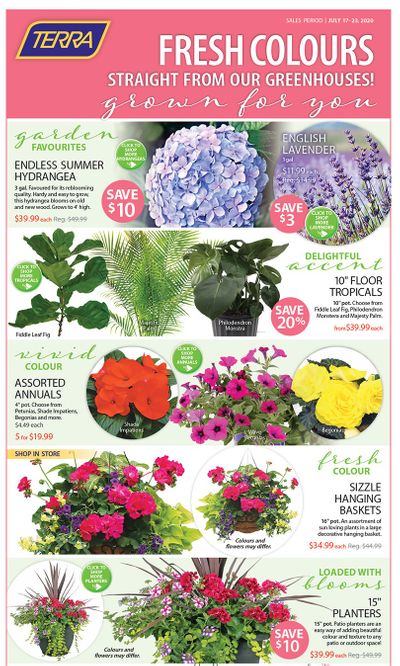 Terra Greenhouses Flyer July 17 to 23