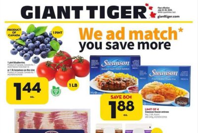 Giant Tiger Canada Flyer Deals July 22nd – 28th