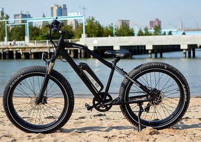 GoSpeed Electric Fat Tire Bike For $1599.99 At Costco Canada