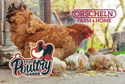 Orscheln Farm and Home Weekly Ad February 1 to November 1