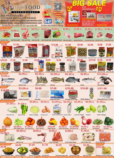 MultiFood Supermarket Flyer November 21 to 27
