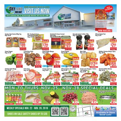 Skyland Food Mart Flyer November 22 to 28