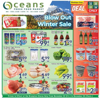 Oceans Fresh Food Market (Brampton) Flyer November 22 to 28