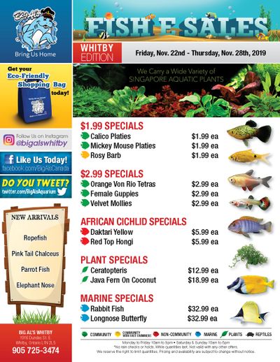 Big Al's (Whitby) Weekly Specials November 22 to 28