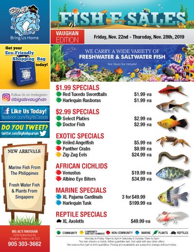 Big Al's (Vaughan) Weekly Specials November 22 to 28