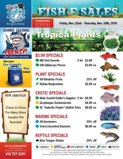 Big Al's (Scarborough) Weekly Specials November 22 to 28