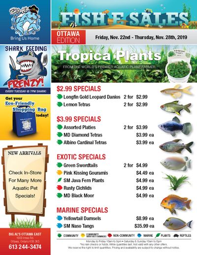 Big Al's (Ottawa East) Weekly Specials November 22 to 28