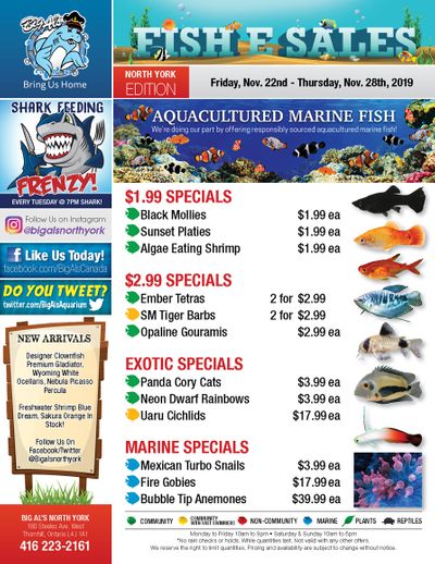 Big Al's (North York) Weekly Specials November 22 to 28