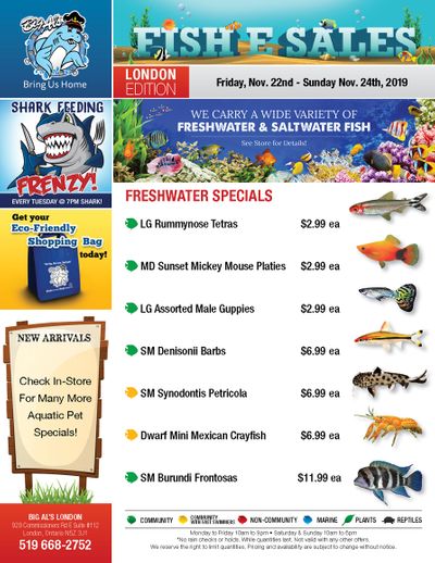 Big Al's (London) Weekend Specials November 22 to 24