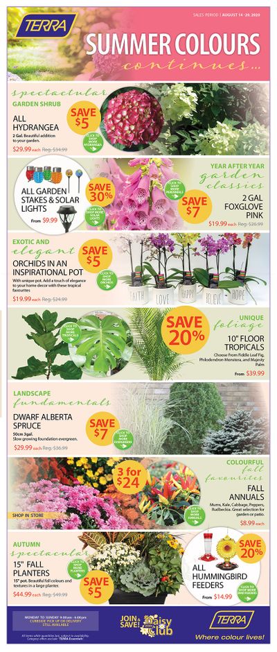 Terra Greenhouses Flyer August 14 to 20