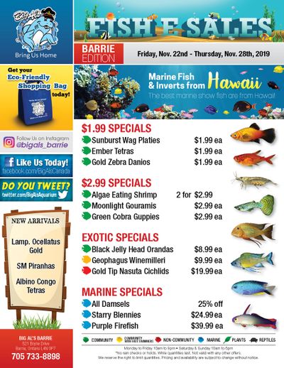 Big Al's (Barrie) Weekly Specials November 22 to 28 Big Al's (Barrie) Weekly Specials November 22 to 28