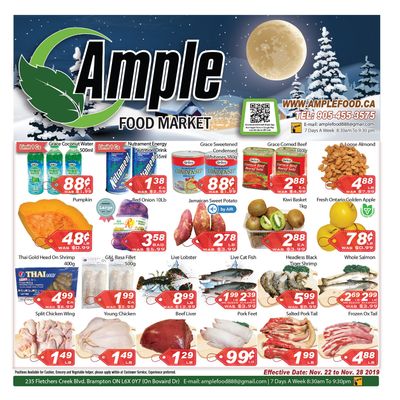 Ample Food Market Flyer November 22 to 28