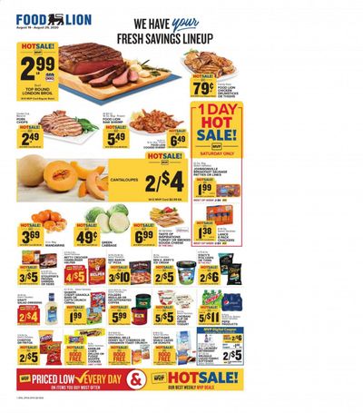Food Lion (PA) Weekly Ad August 19 to August 25