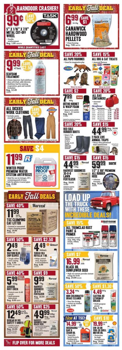 TSC Stores Flyer August 27 to September 2