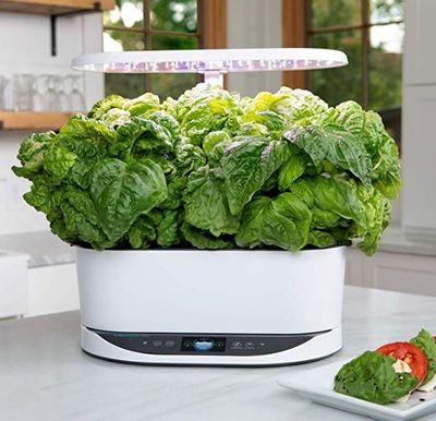 AeroGrow Bounty For $289.95 At Amazon Canada