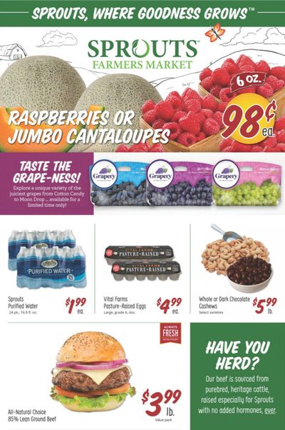 Sprouts Weekly Ad September 9 to September 15