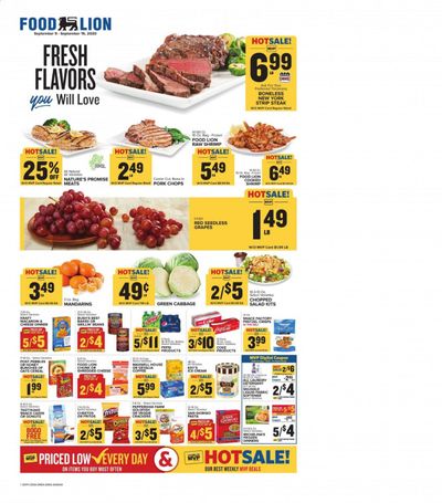 Food Lion (DE) Weekly Ad September 9 to September 15