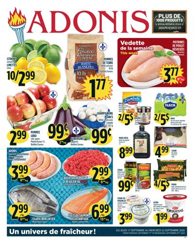 Marche Adonis (QC) Flyer September 17 to 23